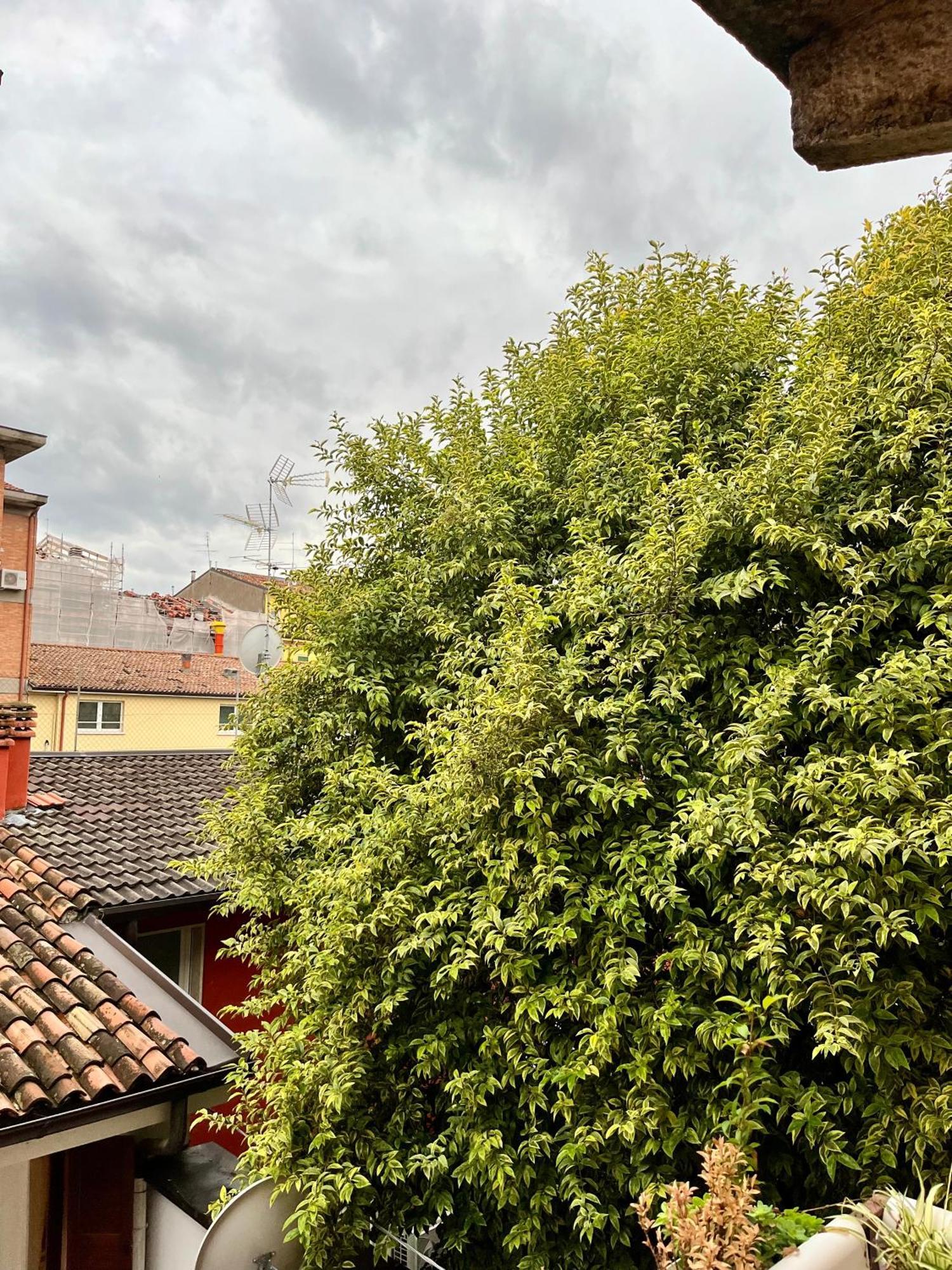 San Bernardino Monolocale Con Balcone Apartment Верона Екстериор снимка